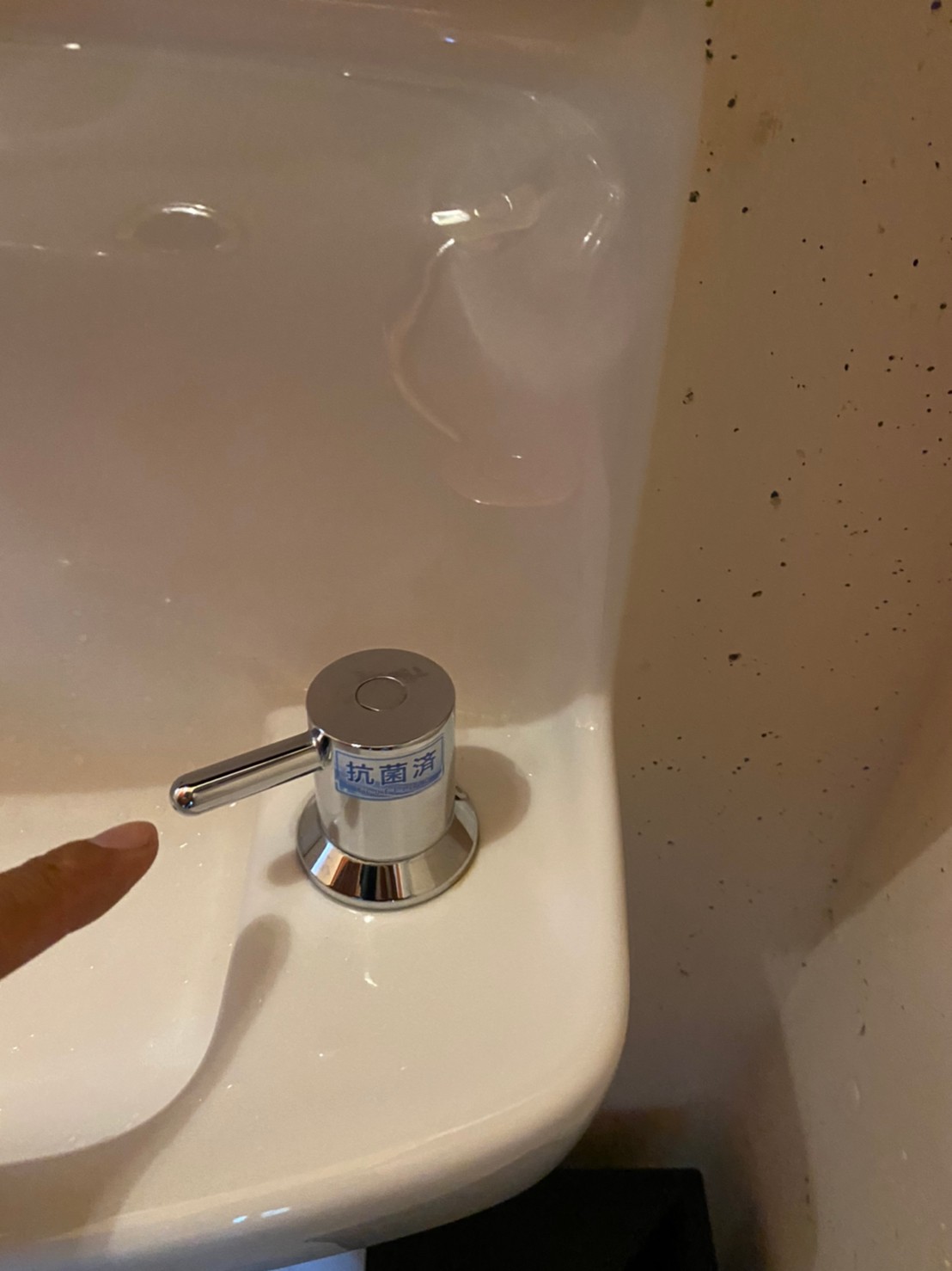 抗菌ガラスコート_スモークハウス